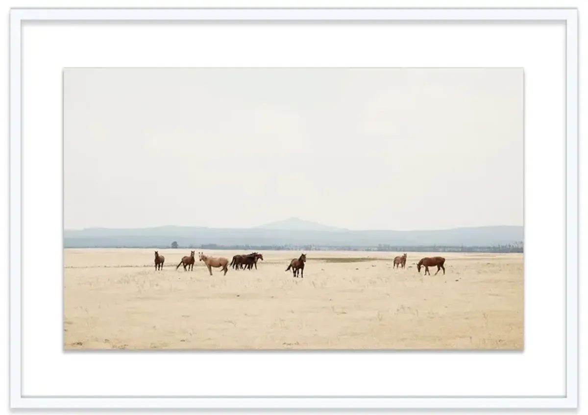 Christine Flynn, Wild Horses II Photograph