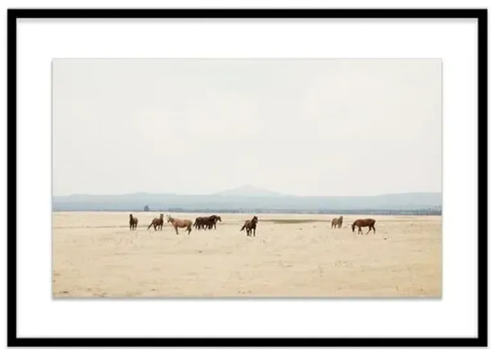 Christine Flynn - Wild Horses II