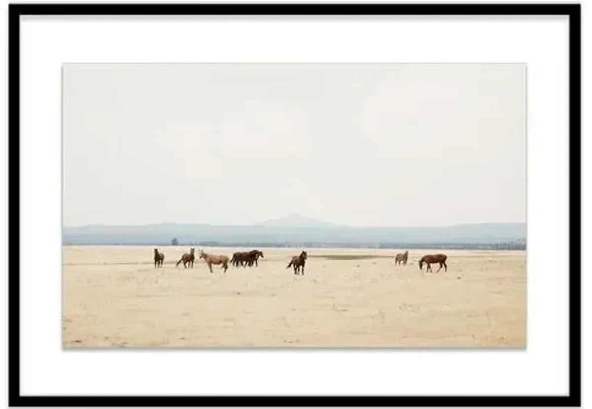 Christine Flynn - Wild Horses II Photograph