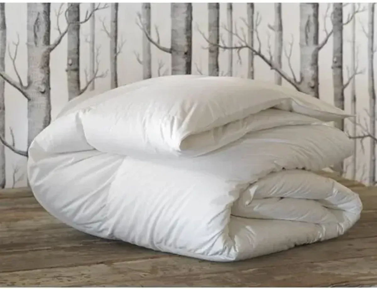 Celesta Light-Weight Comforter - White - Eastern Accents, Breathable, Durable, Comfortable