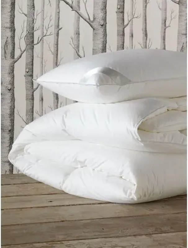 Celesta Medium-Weight Comforter - White - Eastern Accents, Breathable, Durable, Comfortable