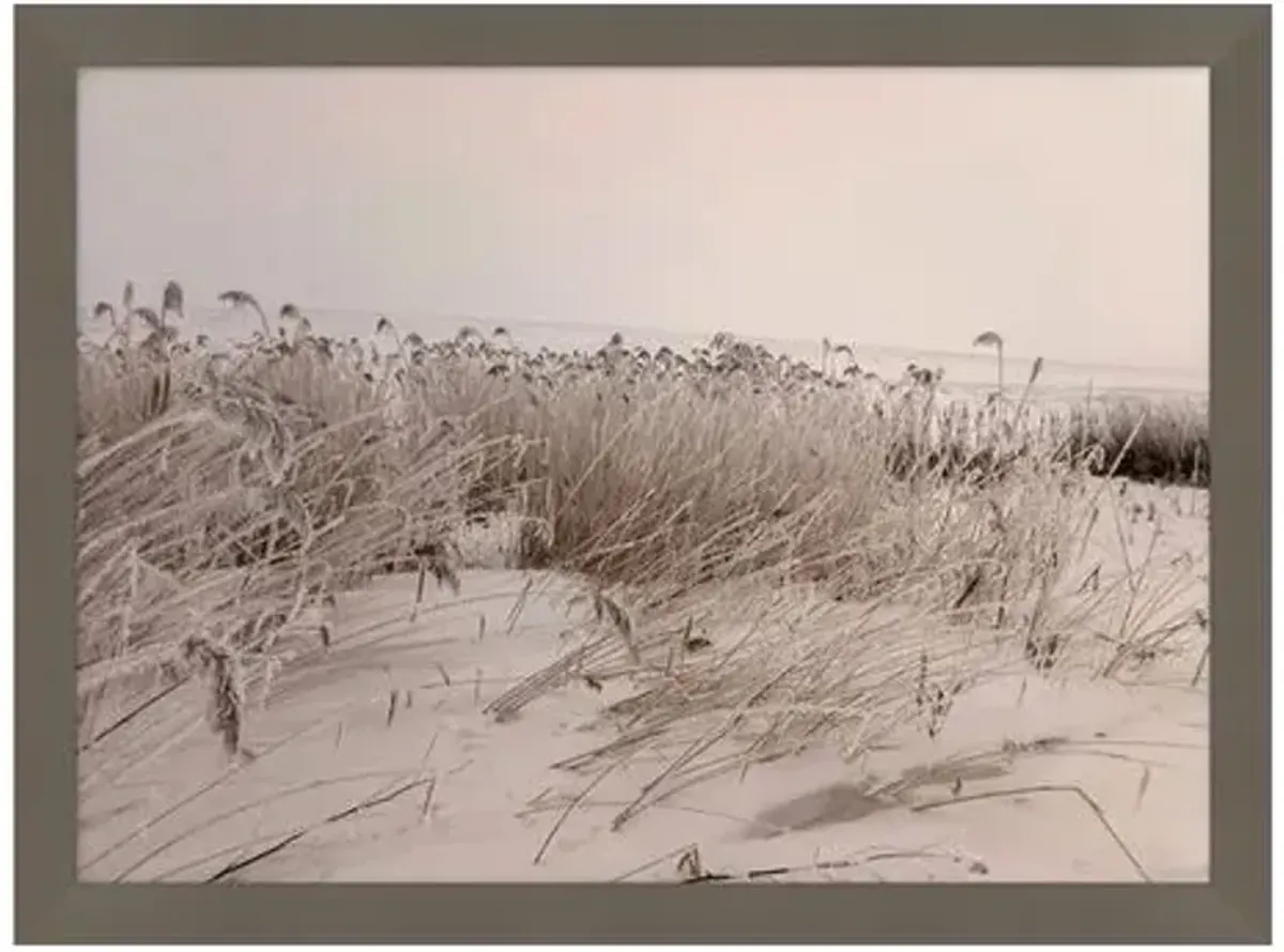 Sepia Sand Dune II