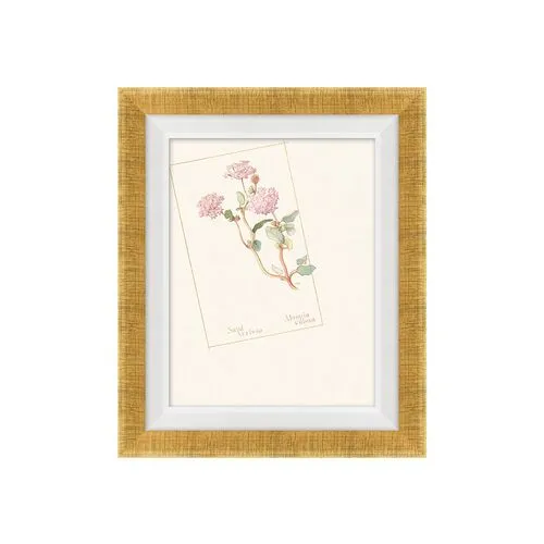 Floral Lithograph III