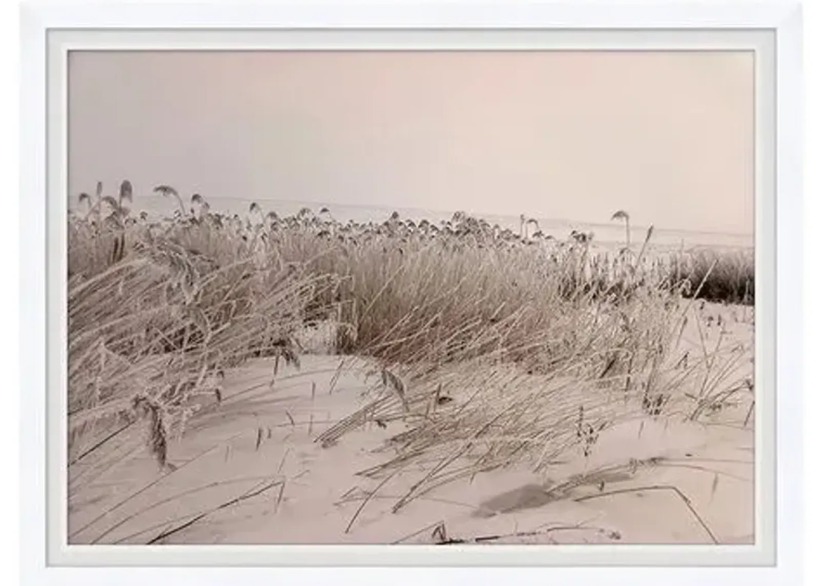 Sepia Sand Dune II