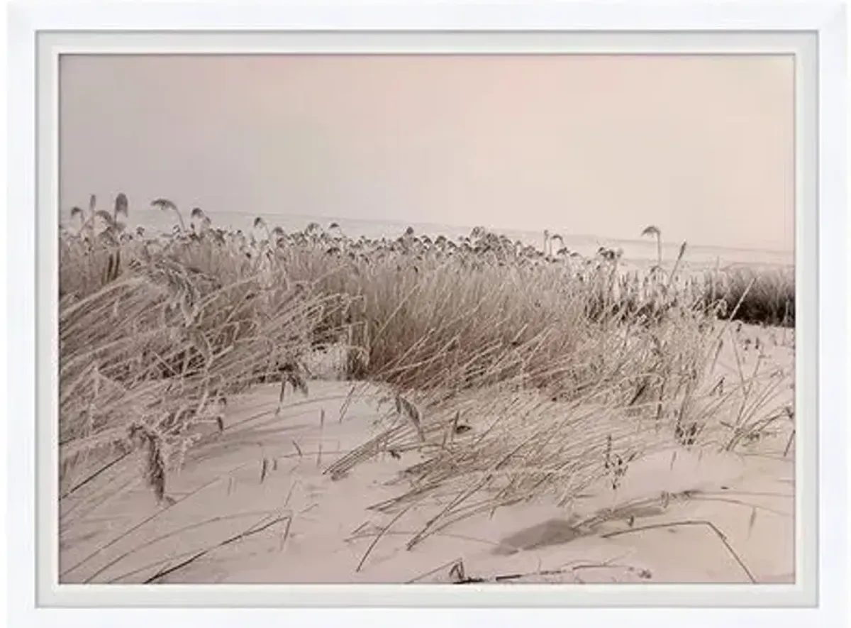 Sepia Sand Dune II