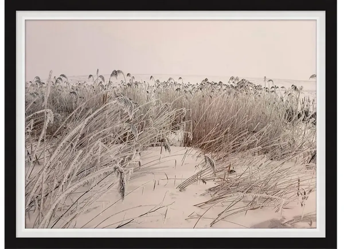 Sepia Sand Dune I