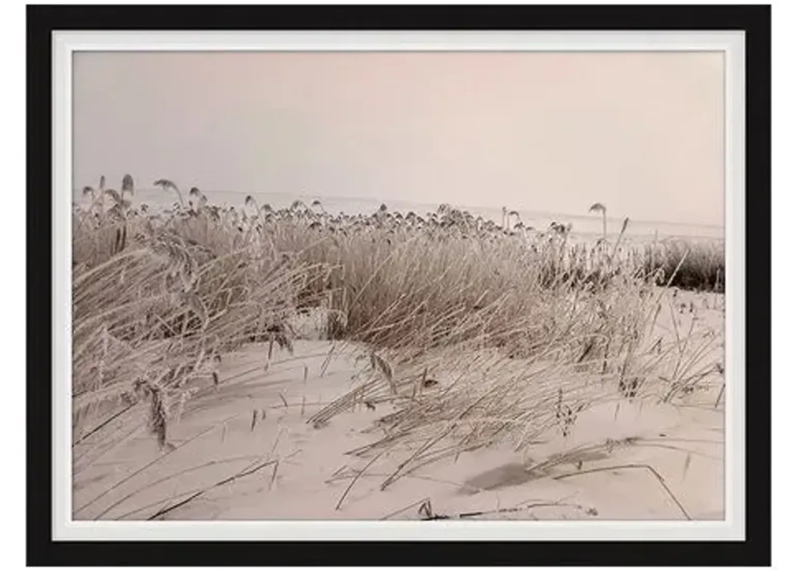 Sepia Sand Dune II