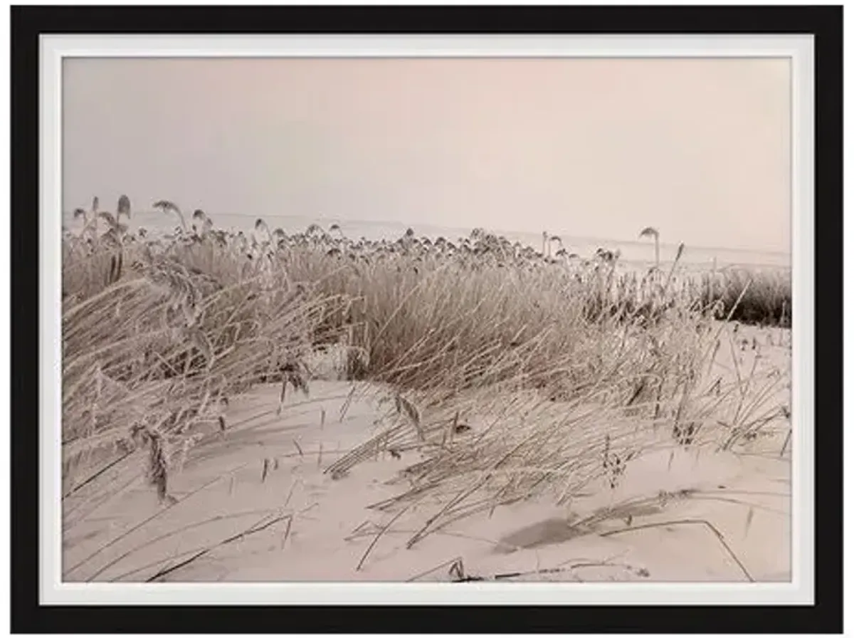 Sepia Sand Dune II