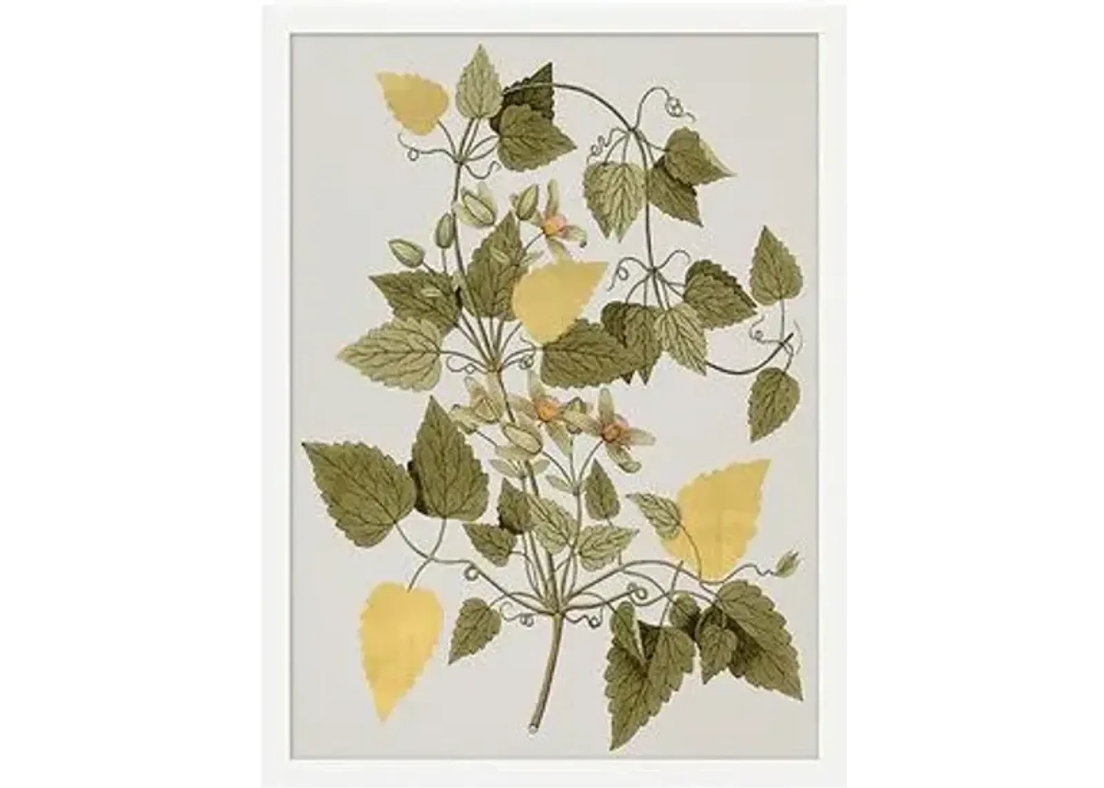 Gilded Botanicals I