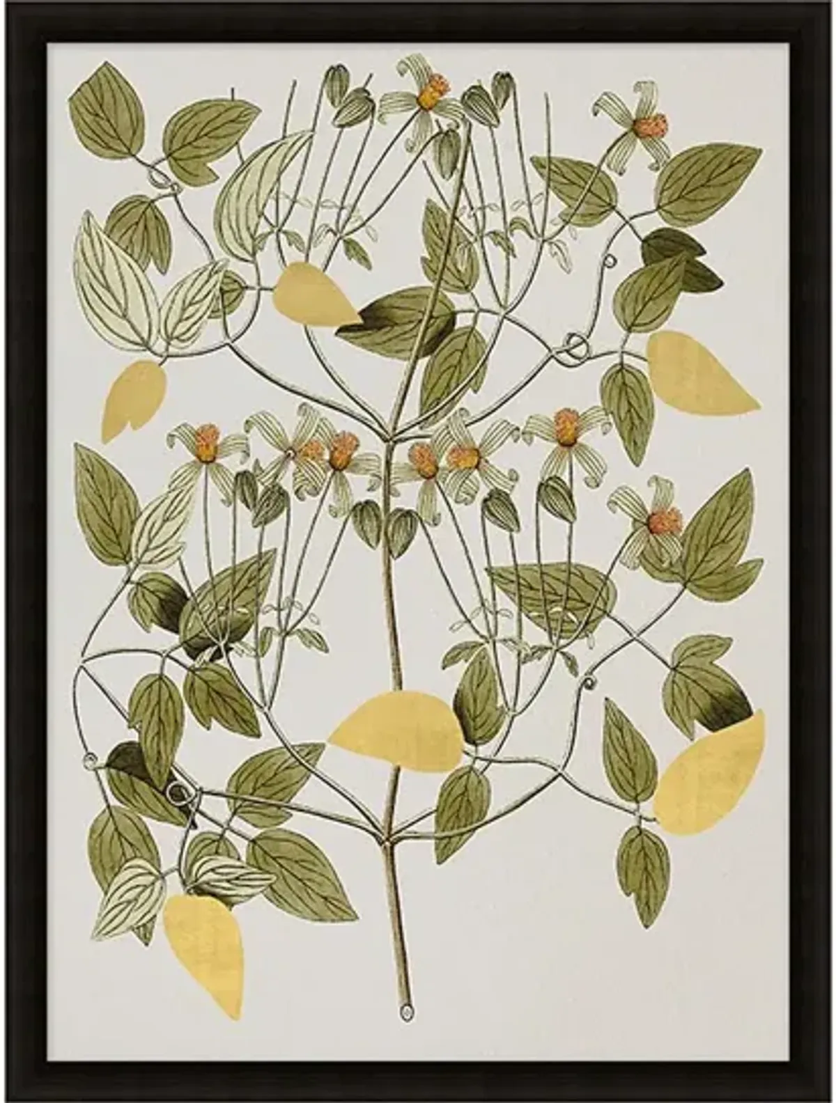 Gilded Botanicals II