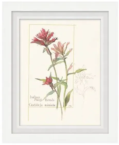 Floral Lithograph II