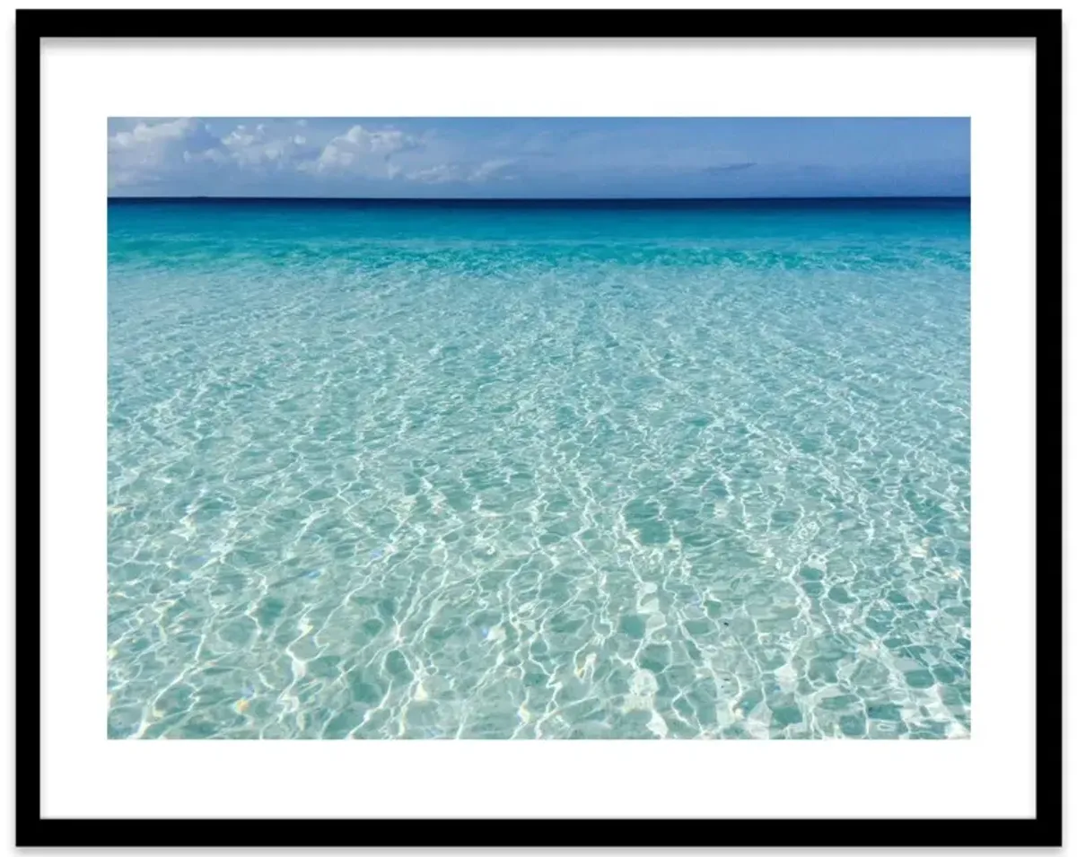 Natalie Obradovich, Whale's Tail Photography