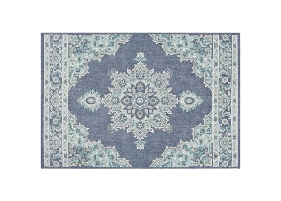 Embiid Outdoor Rug - Aqua/Teal - Blue - Blue