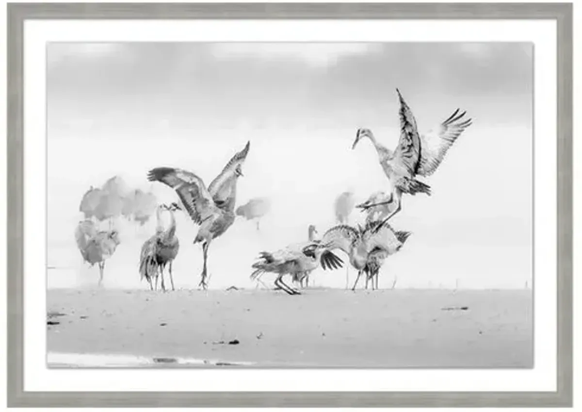 Sandhill Cranes In The Morning - Silver