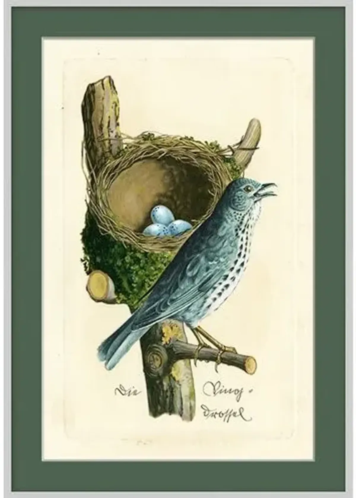 Green Bird IX - White