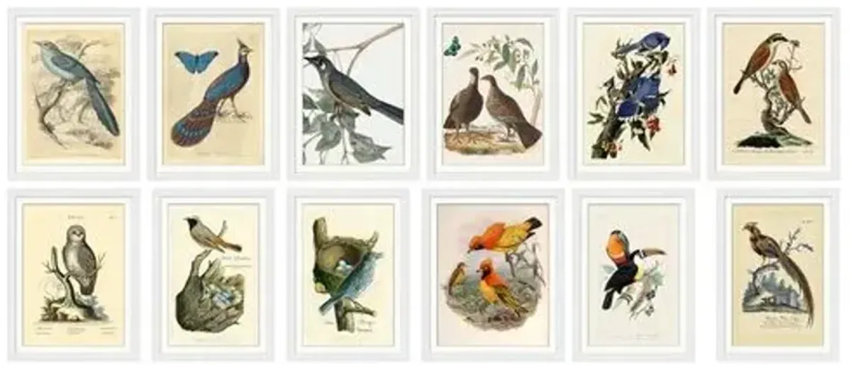 Set of 12 White Bird