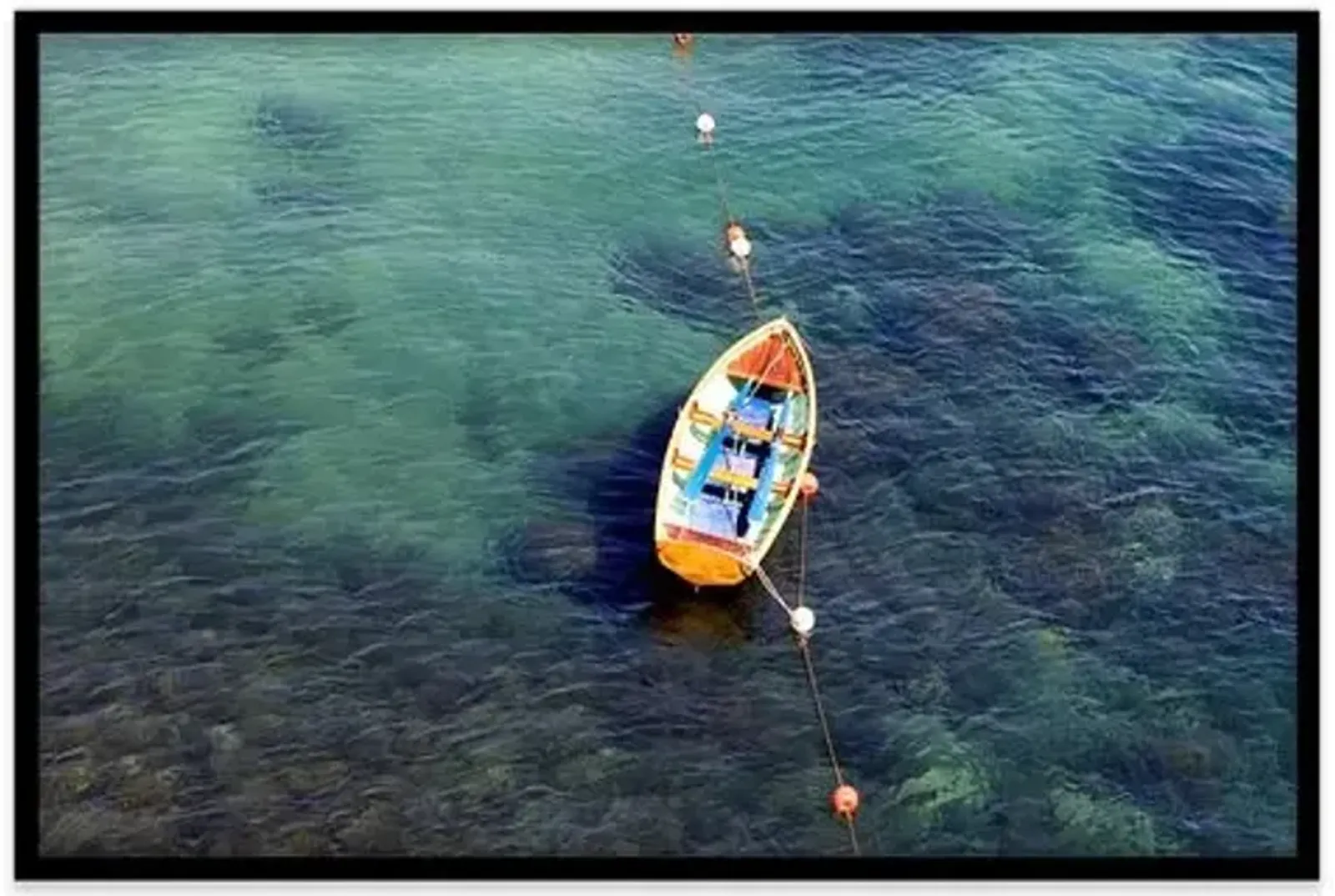 Judith Gigliotti - Row Boat