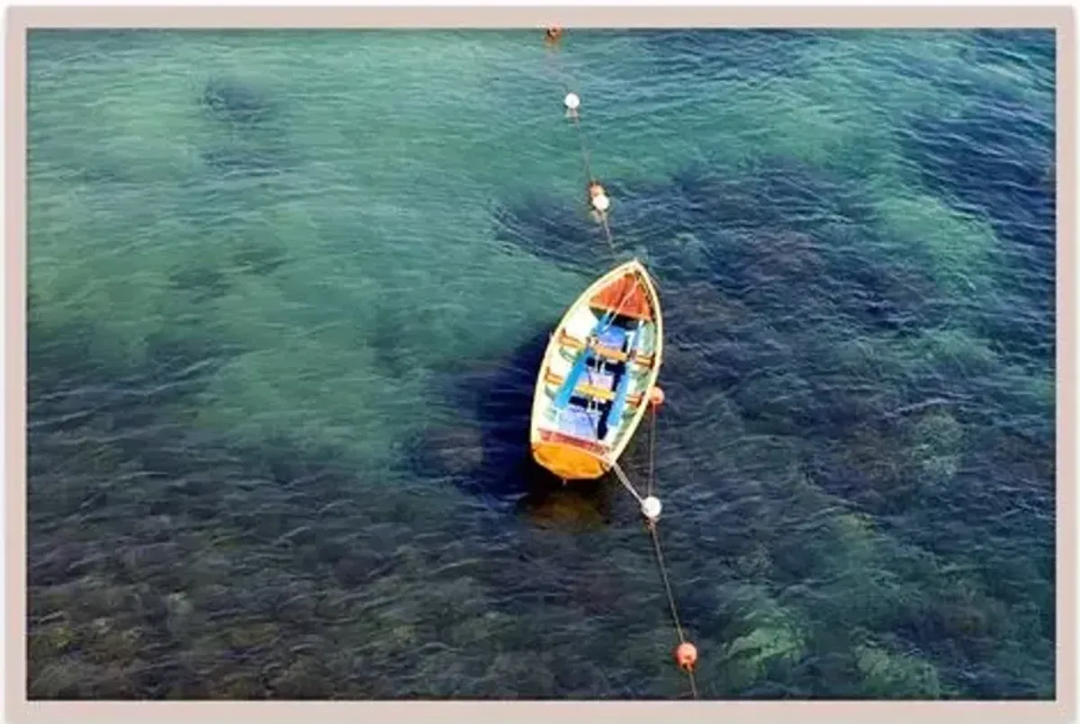 Judith Gigliotti - Row Boat Photograph