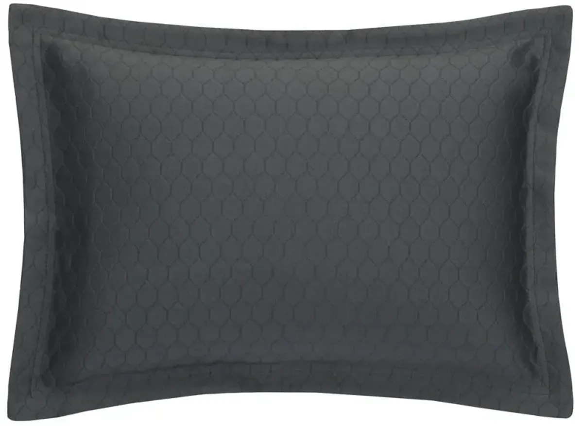 Favo Sham - SFERRA - Black