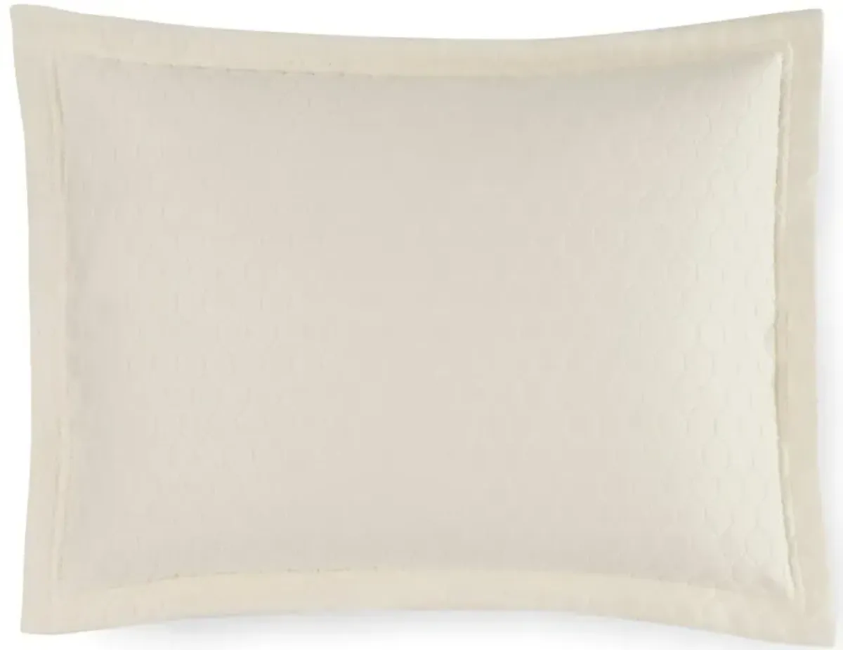 Favo Sham - SFERRA - Ivory