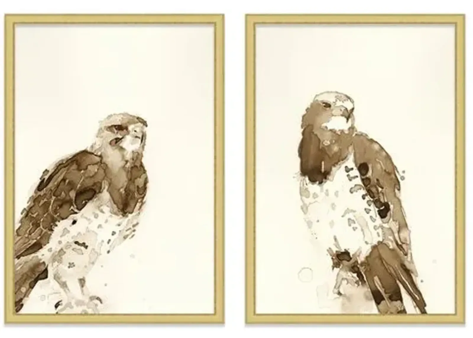 Mary H. Case - Hawks Diptych - Blue