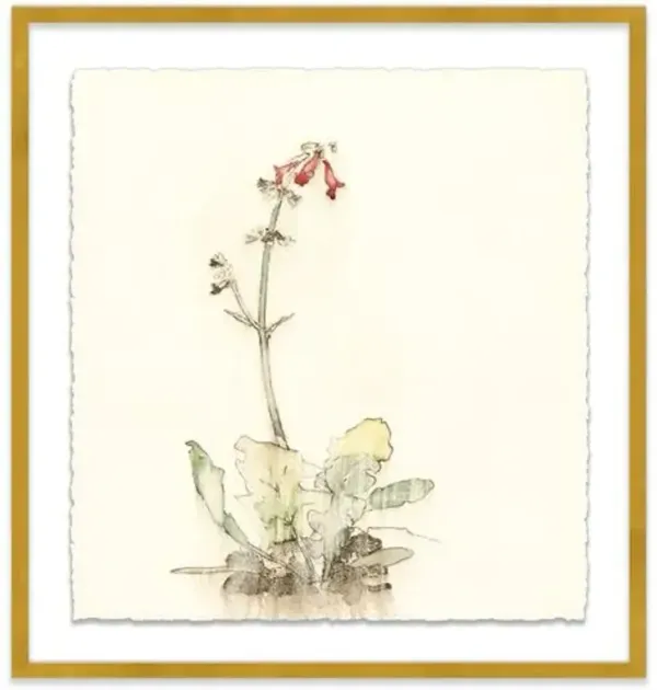 Mary H. Case - Botanical II Painting - Blue