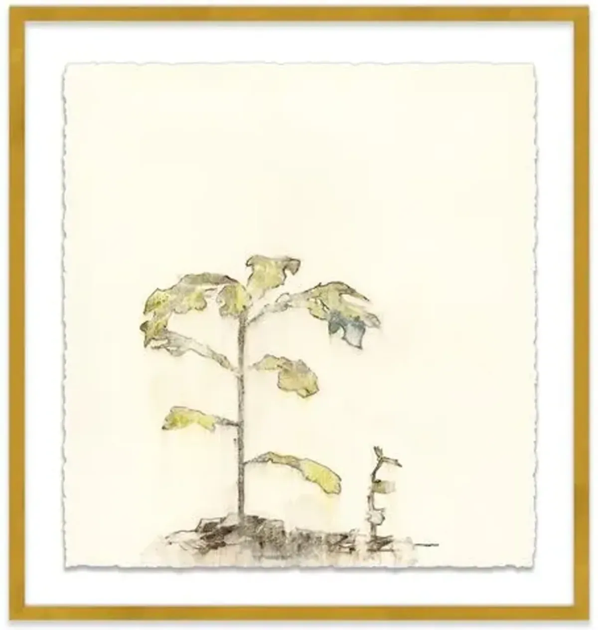Mary H. Case - Botanical V Painting - Blue