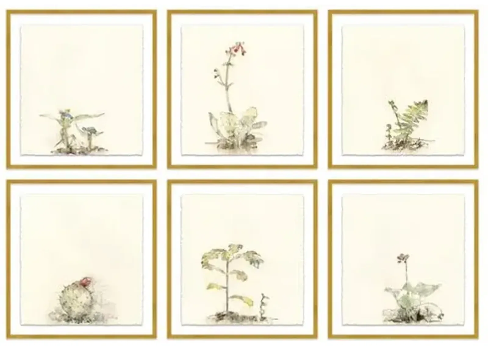 Mary H. Case - Botanical Set of 6 - Blue