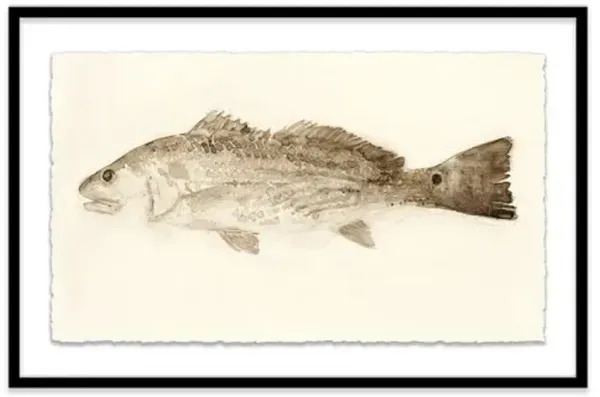 Mary H. Case - Red Fish Painting - Blue