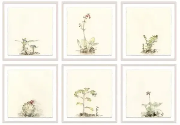 Mary H. Case - Botanical Set of 6 Painting - Blue