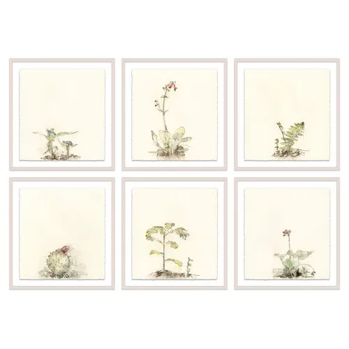 Mary H. Case - Botanical Set of 6 - Blue