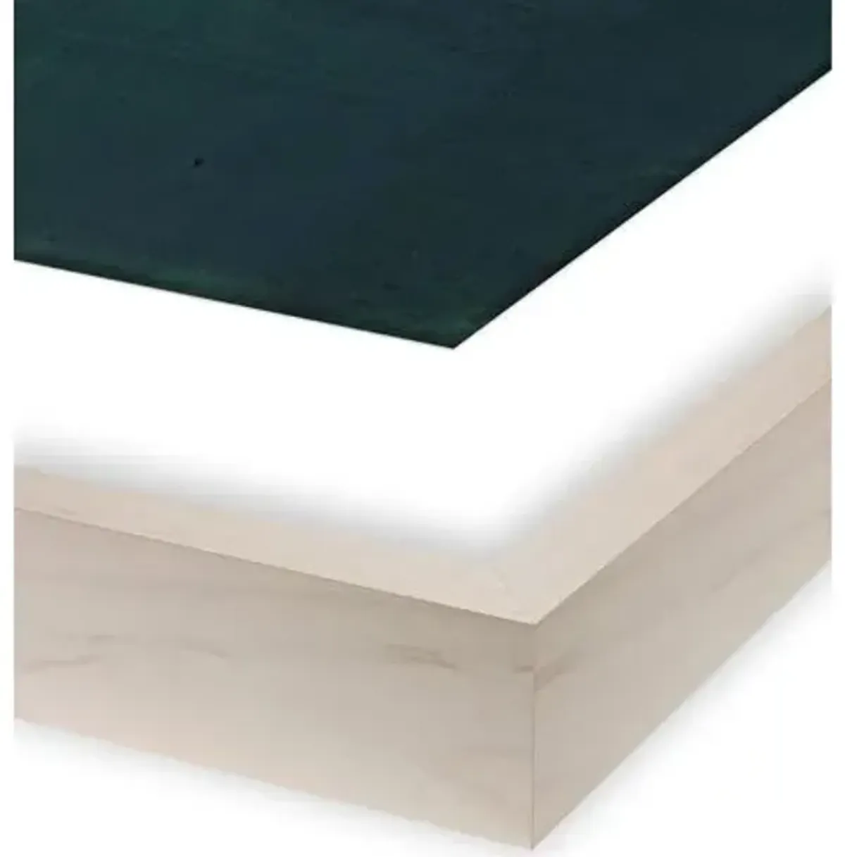 Susan Ashworth - Anemones On Blue Painting - Green