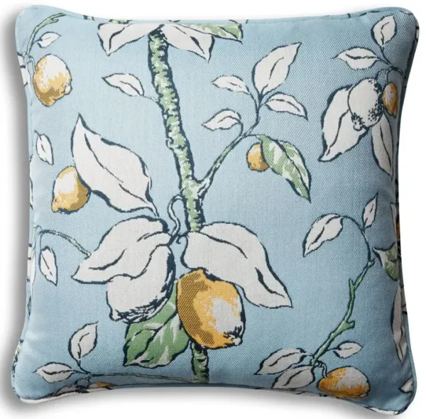 Kit Outdoor Pillow, Lemons