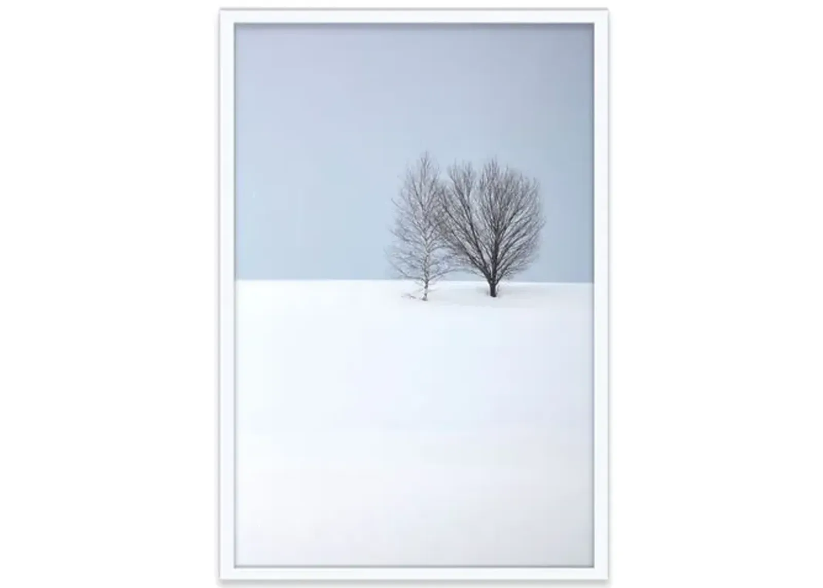 Pascal Shirley - Two Trees - White