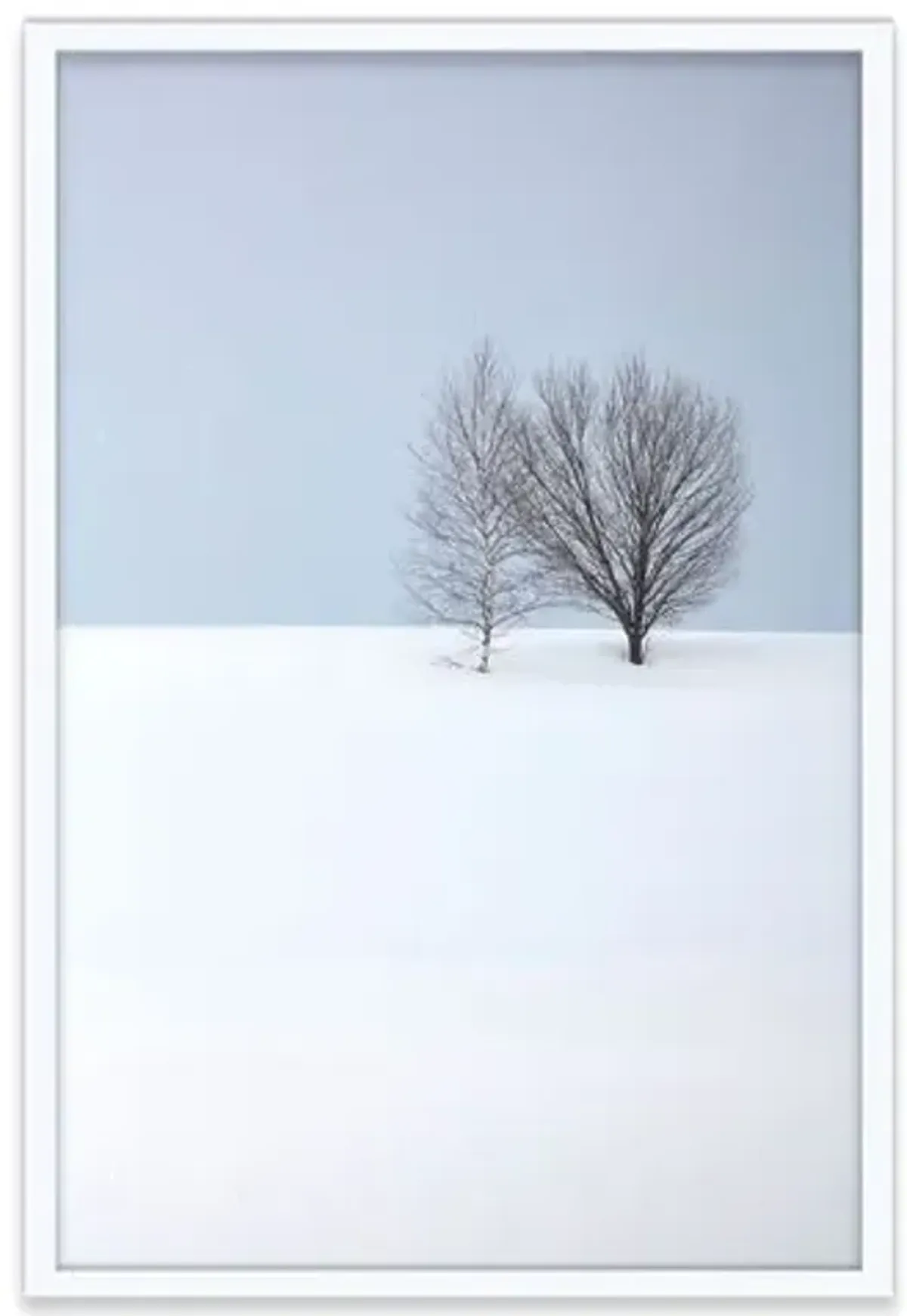 Pascal Shirley - Two Trees - White