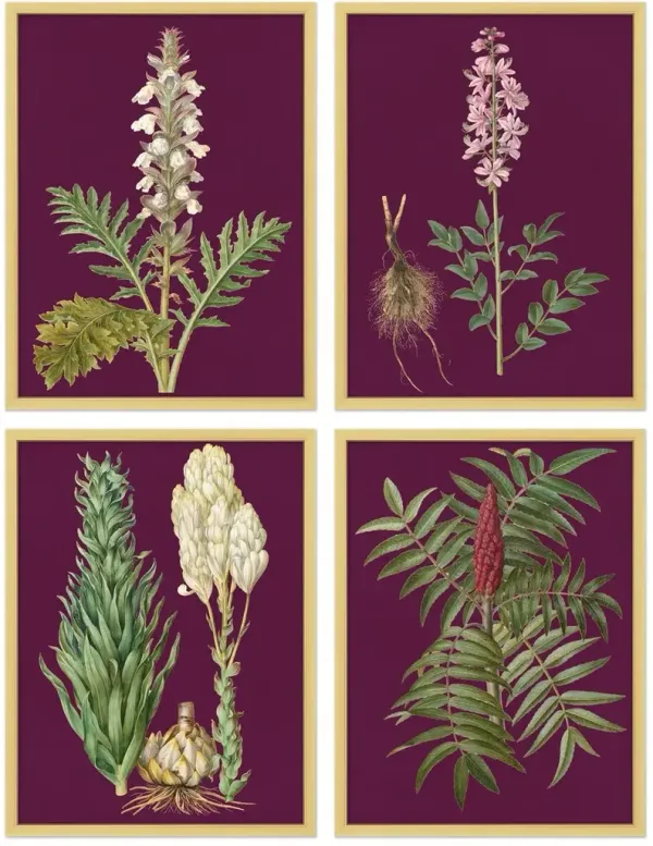 S/4 Purple Flower Lithographs