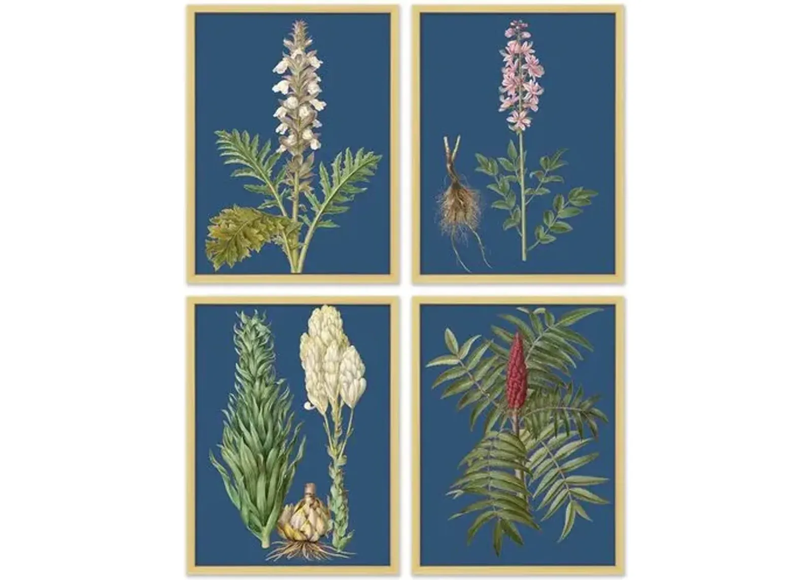 Set of 4 Navy Flower Lithographs - Gold