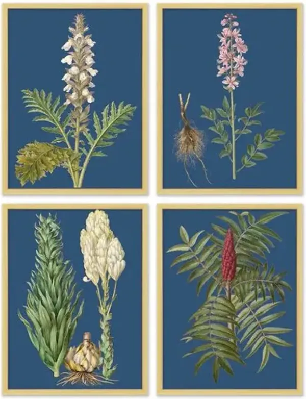 Set of 4 Navy Flower Lithographs - Gold
