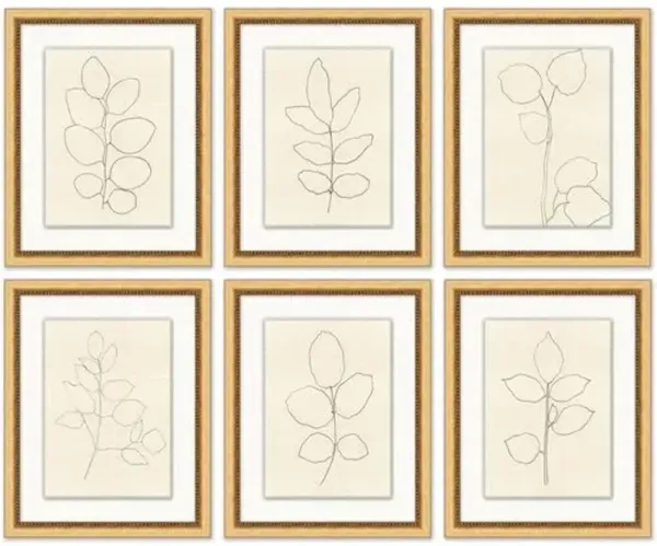 Set of 6 Flower Outline - Gold