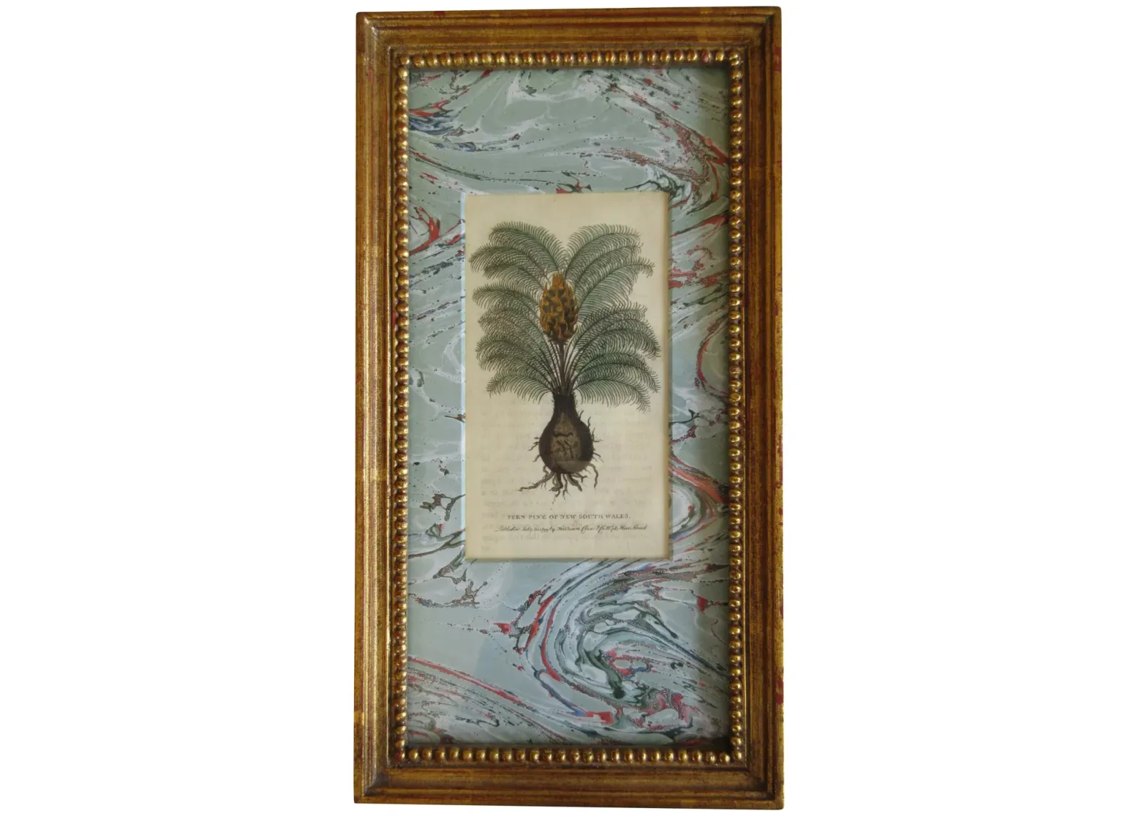 19th-C Fern Pine Engraving - The Emporium Ltd. - Blue