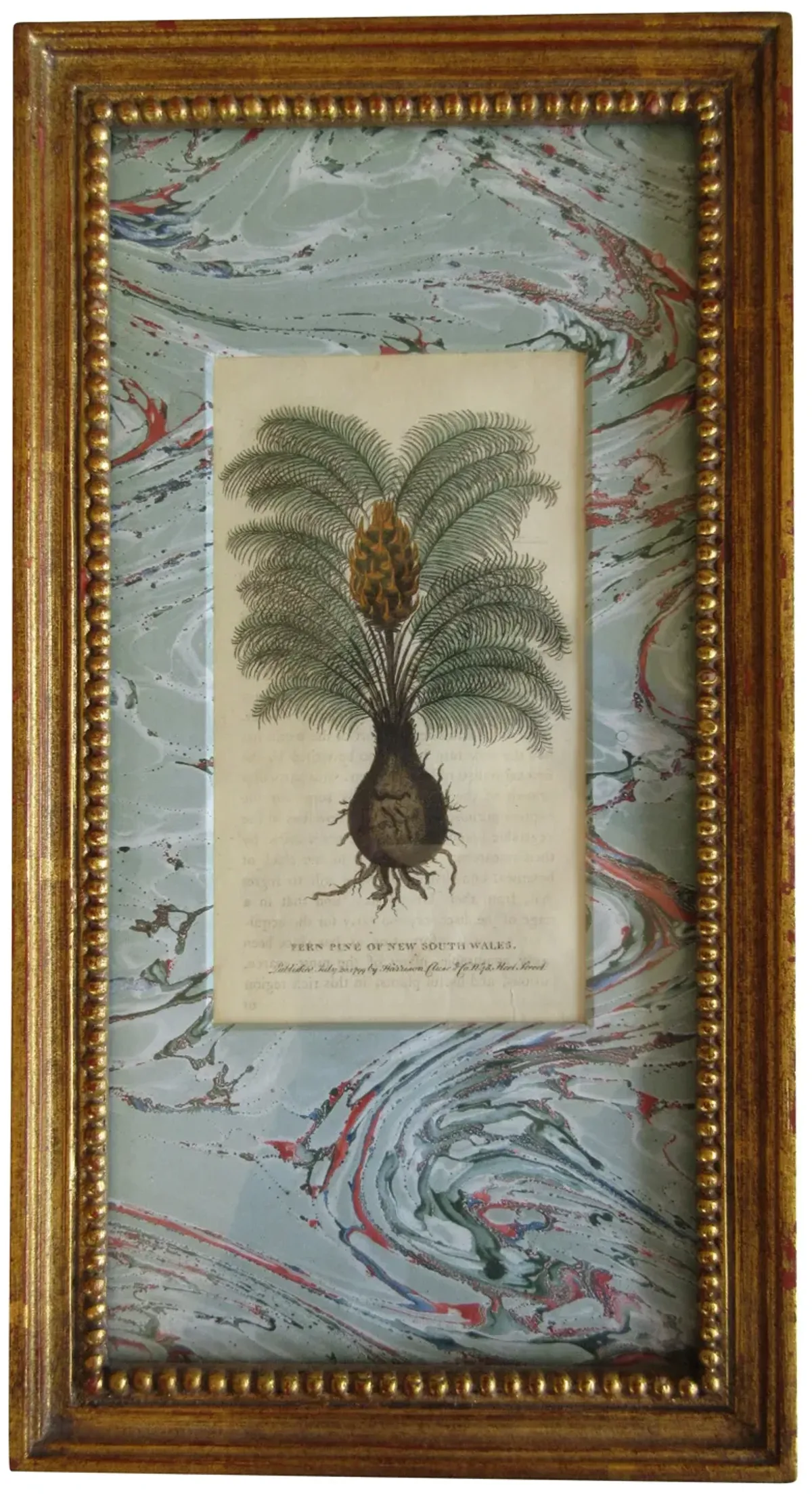 19th-C Fern Pine Engraving - The Emporium Ltd. - Blue