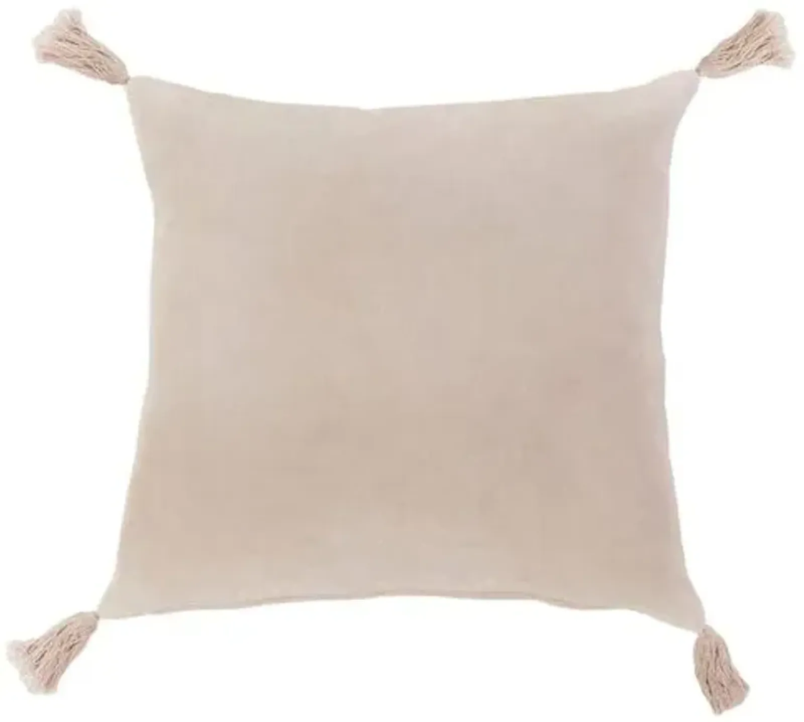 Bianca 20x20 Pillow - Blush Velvet - Pom Pom at Home