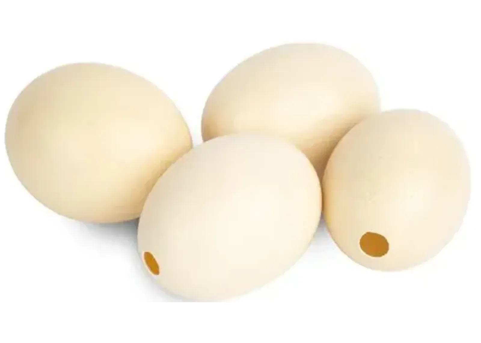 6" Ostrich Egg Accent - Natural - Ngala Trading Co.