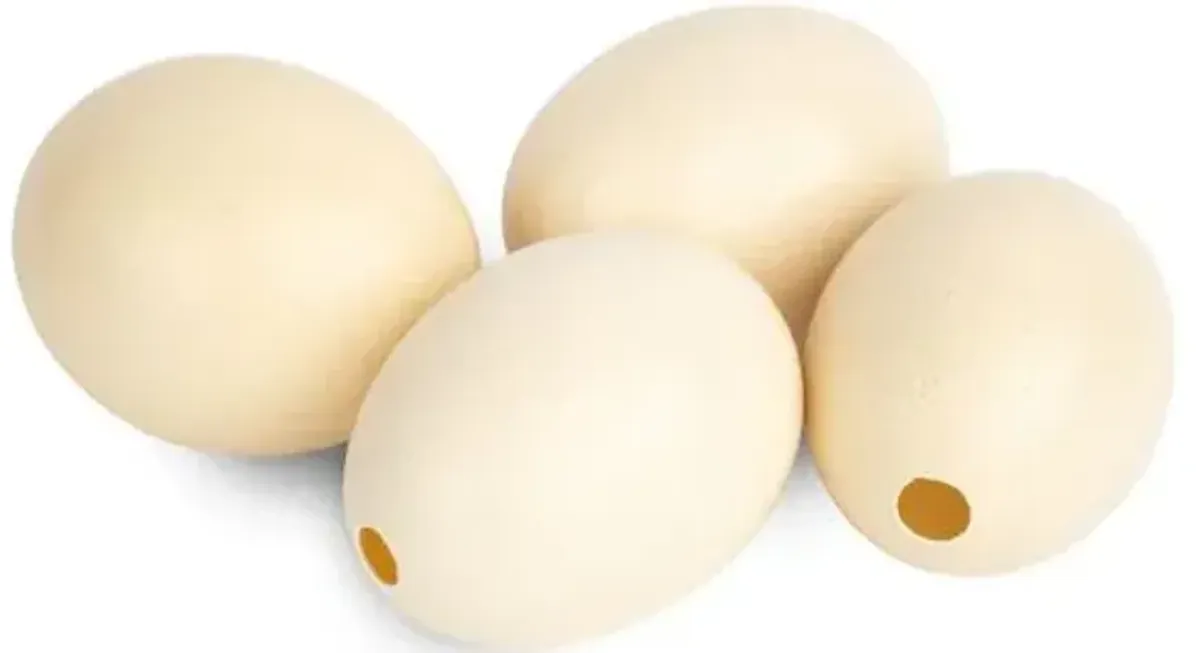 6" Ostrich Egg Accent - Natural - Ngala Trading Co.