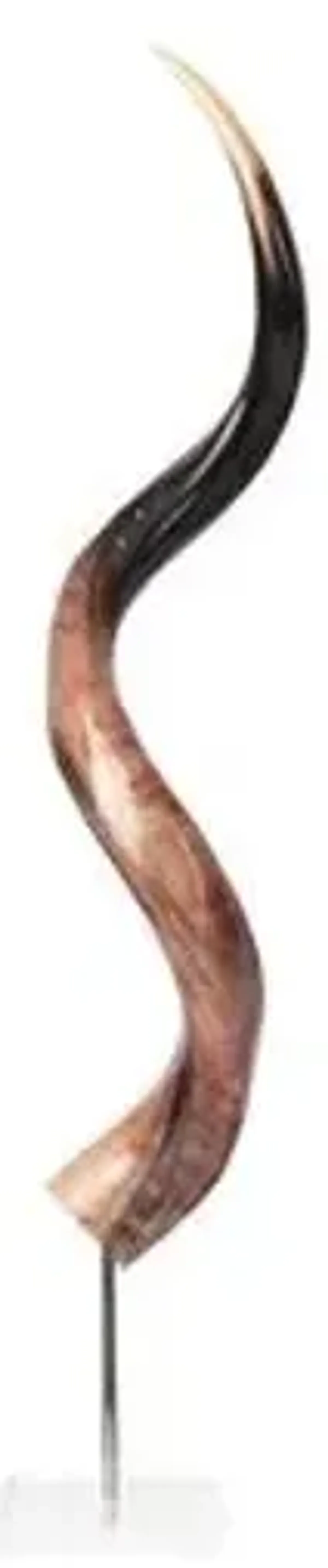 31" Kudu Horn on Stand - Polished Natural - Ngala Trading Co. - Brown