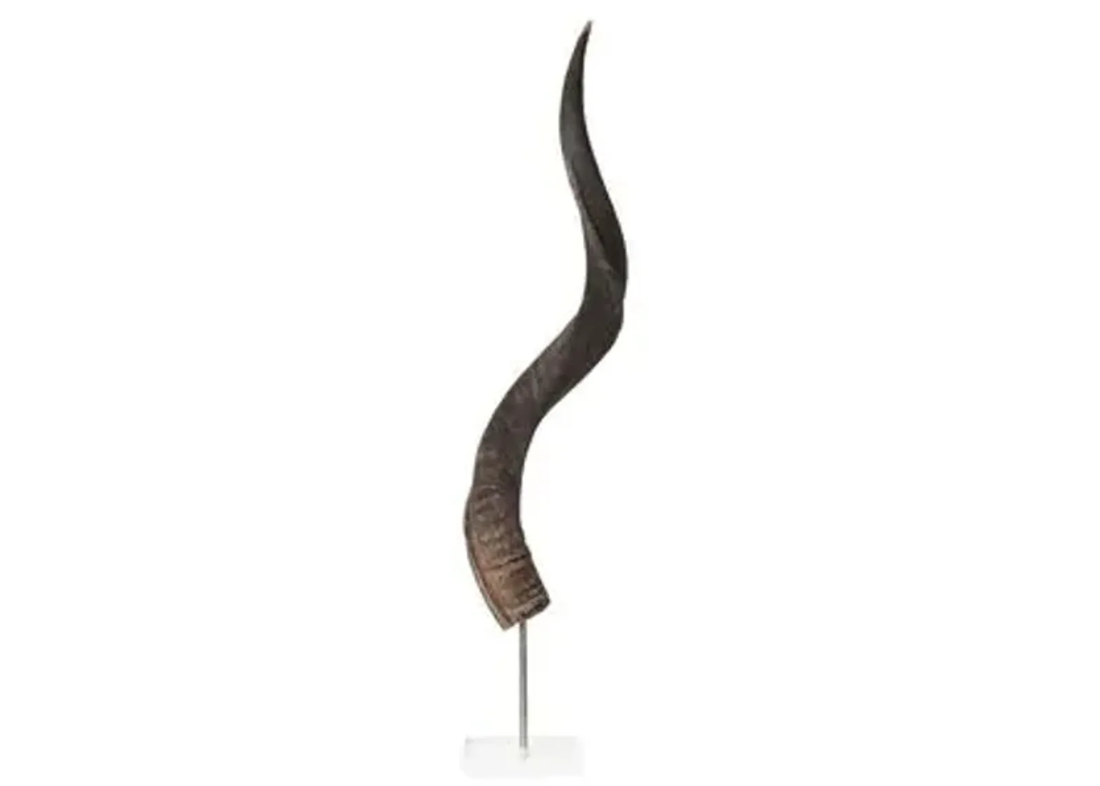 33" Kudu Horn on Stand - Natural - Ngala Trading Co. - Brown