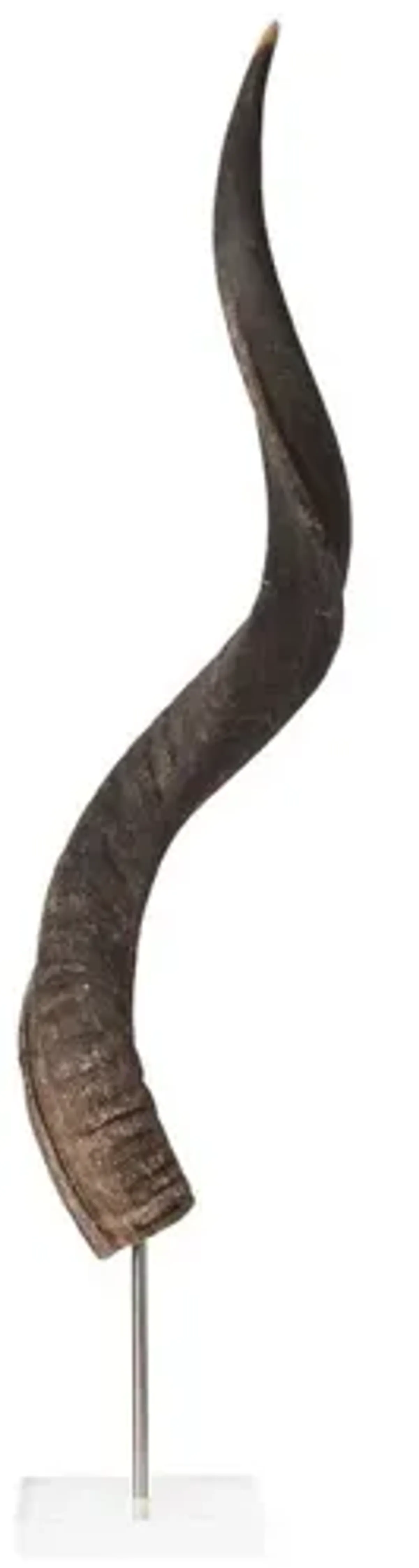 33" Kudu Horn on Stand, Natural