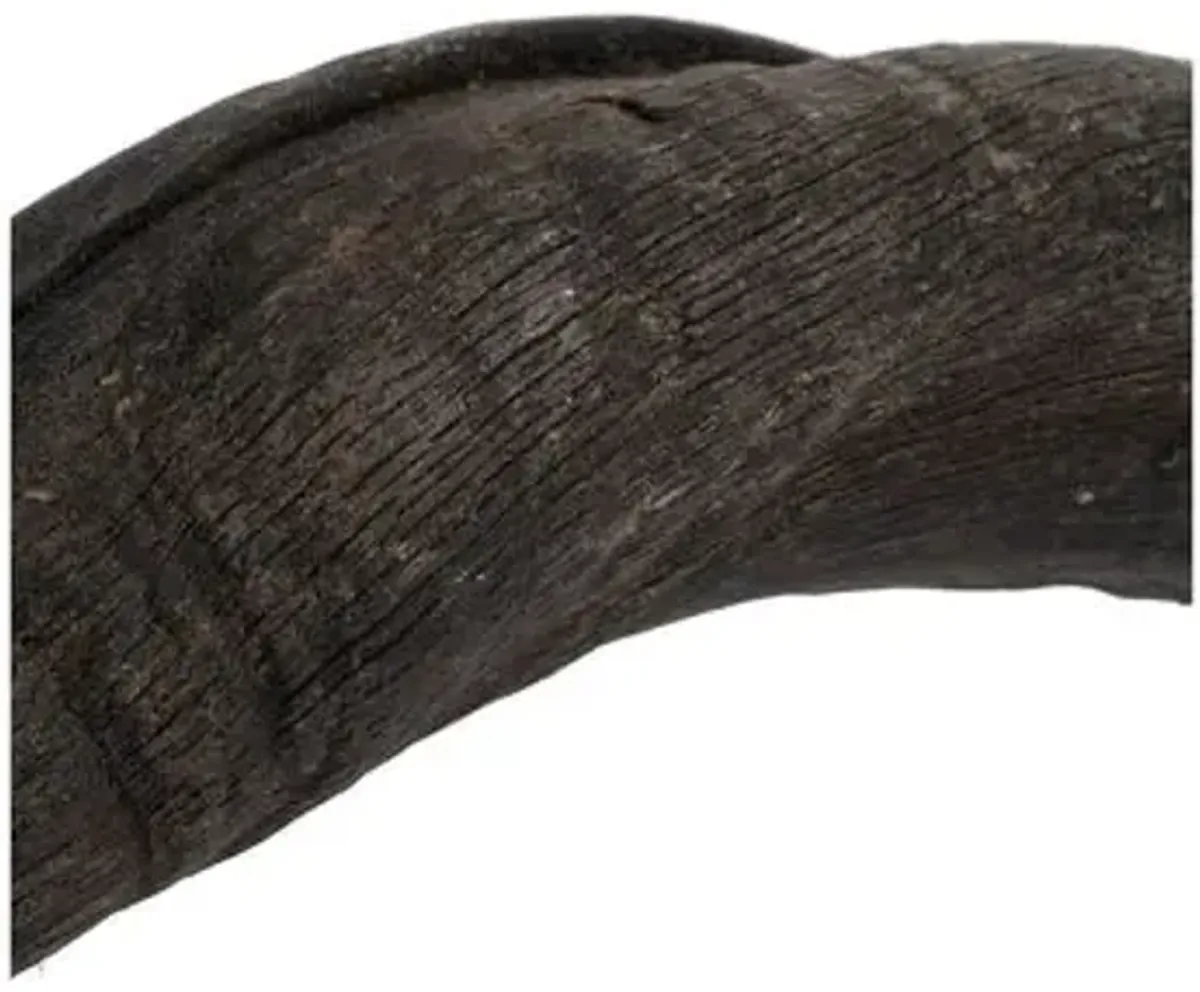 30" Kudu Horn Accent - Natural - Ngala Trading Co.