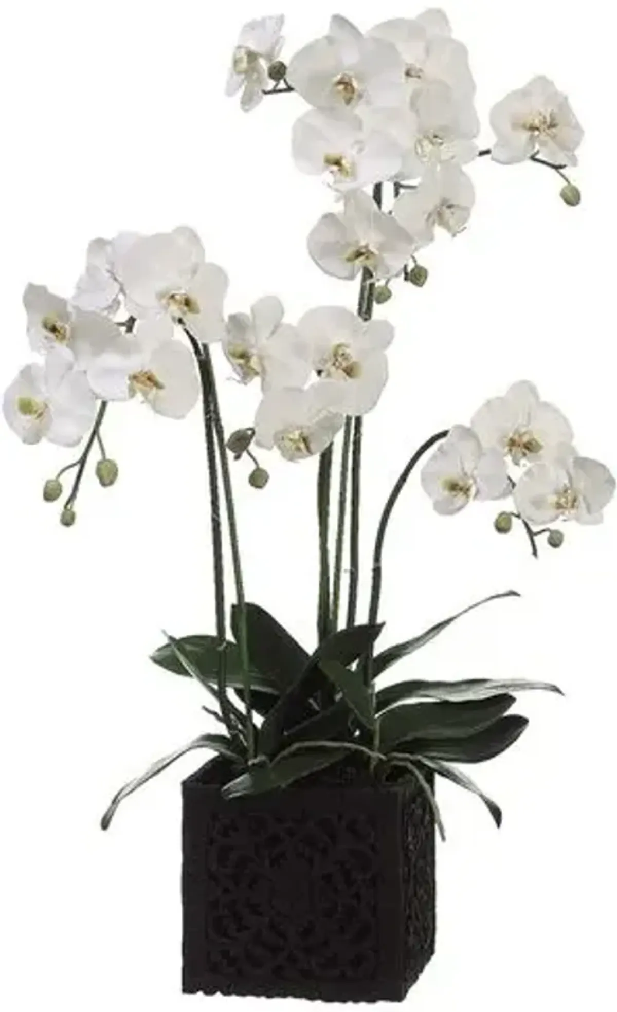 37" Phalaenopsis Orchid with Square Planter - Faux - White - 37"