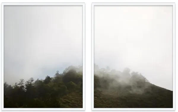 Alex Hoerner, Big Sur Diptych Photograph